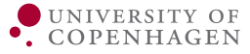 Københavns Universitet - Digital transformation og IT-ledelse